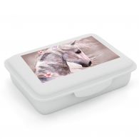 Box na desiatu s priehradkou Prémium LIGHT kôň rom