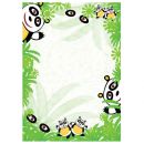 DIPLOM Panda 170g papier A4 bal. 25ks 214717